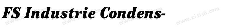 FS Industrie Condens字体转换